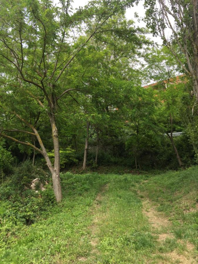 Green B&B Urbino Ca Del Vento Εξωτερικό φωτογραφία