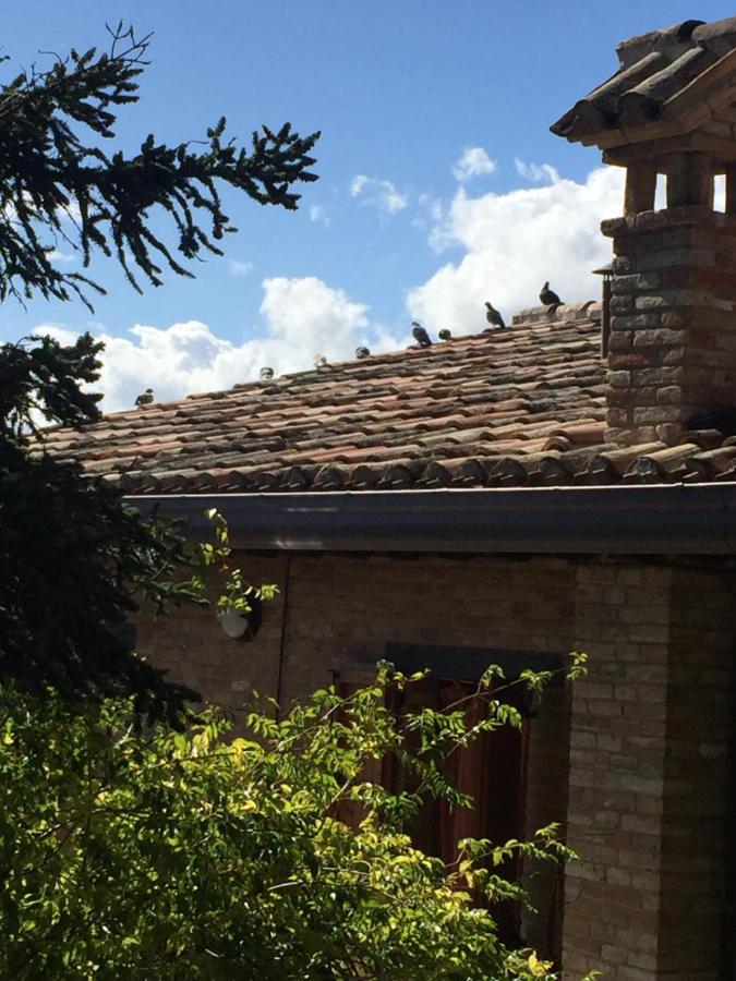 Green B&B Urbino Ca Del Vento Εξωτερικό φωτογραφία