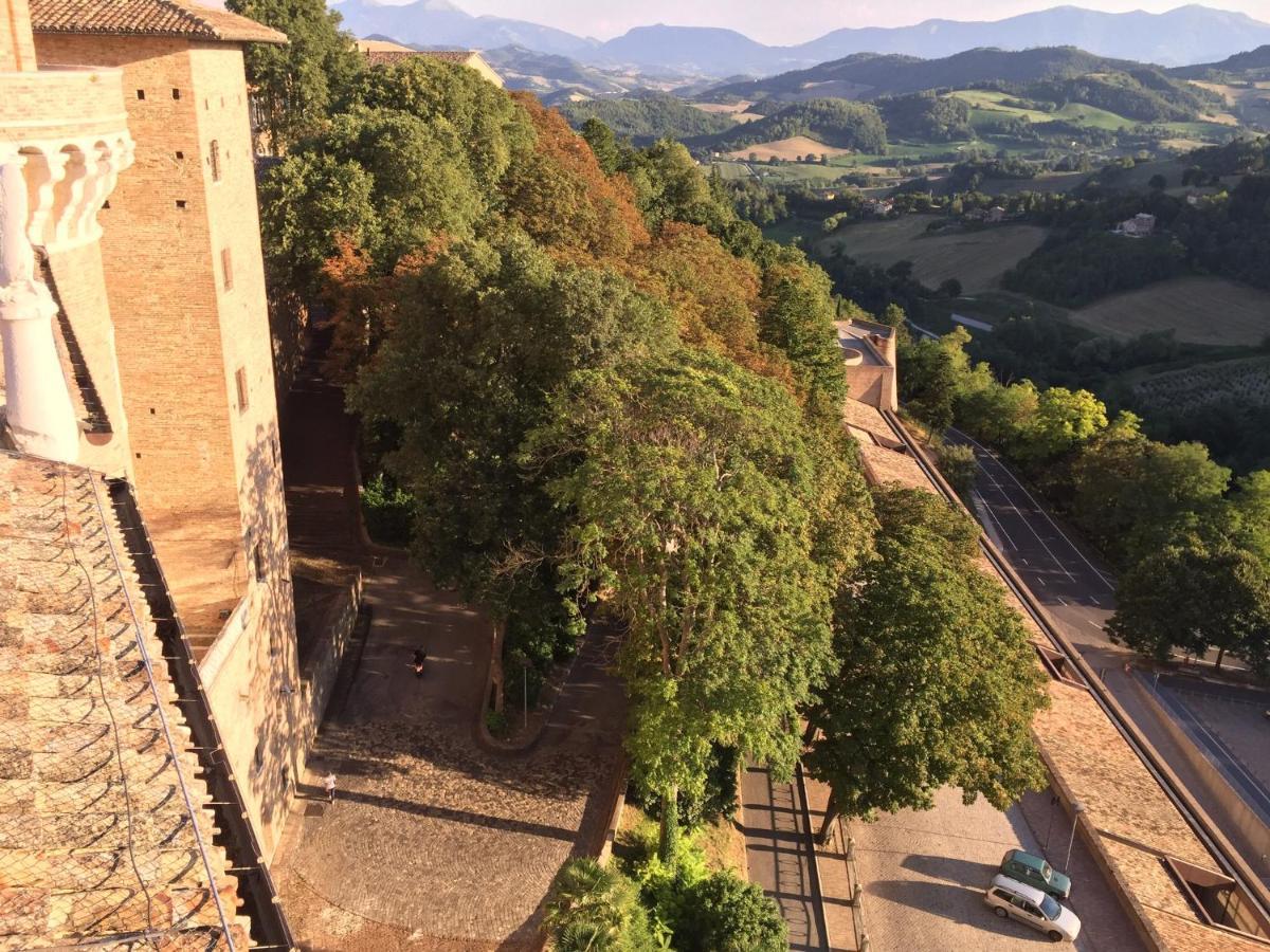 Green B&B Urbino Ca Del Vento Εξωτερικό φωτογραφία