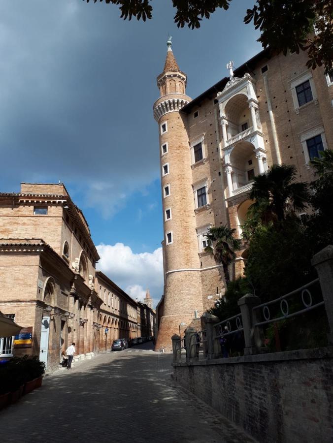 Green B&B Urbino Ca Del Vento Εξωτερικό φωτογραφία